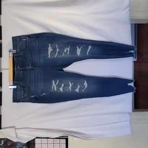 Plus size women's Torrid bombshell skinny jeans size 22r